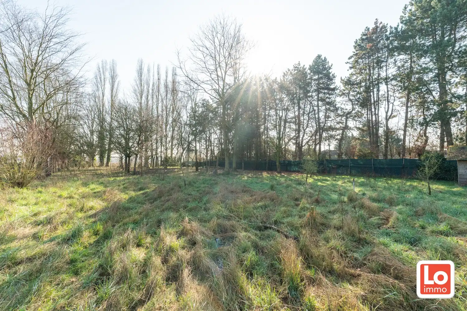 Projectgrond en/of totaalrenovatie op een rustige en landelijke ligging tussen Beervelde en Destelbergen! foto 8