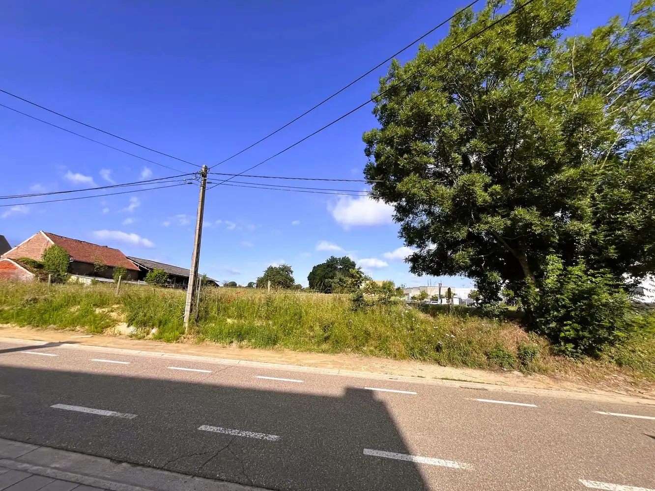 Prachtig perceel bouwgrond van 7262 m² in Bierbeek foto 6