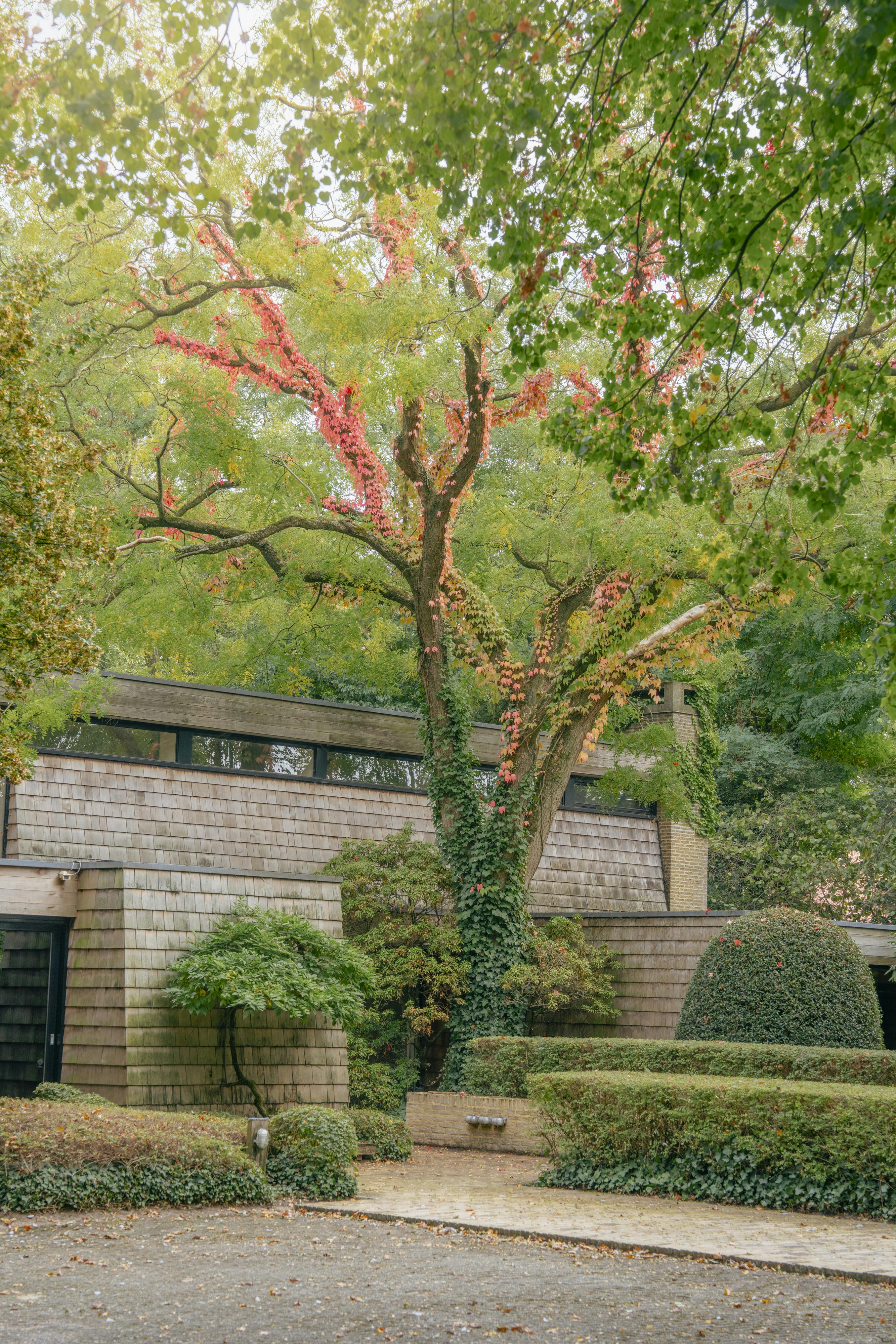 Fenomenale villa in een oase van groen te Meulebeke! foto 21
