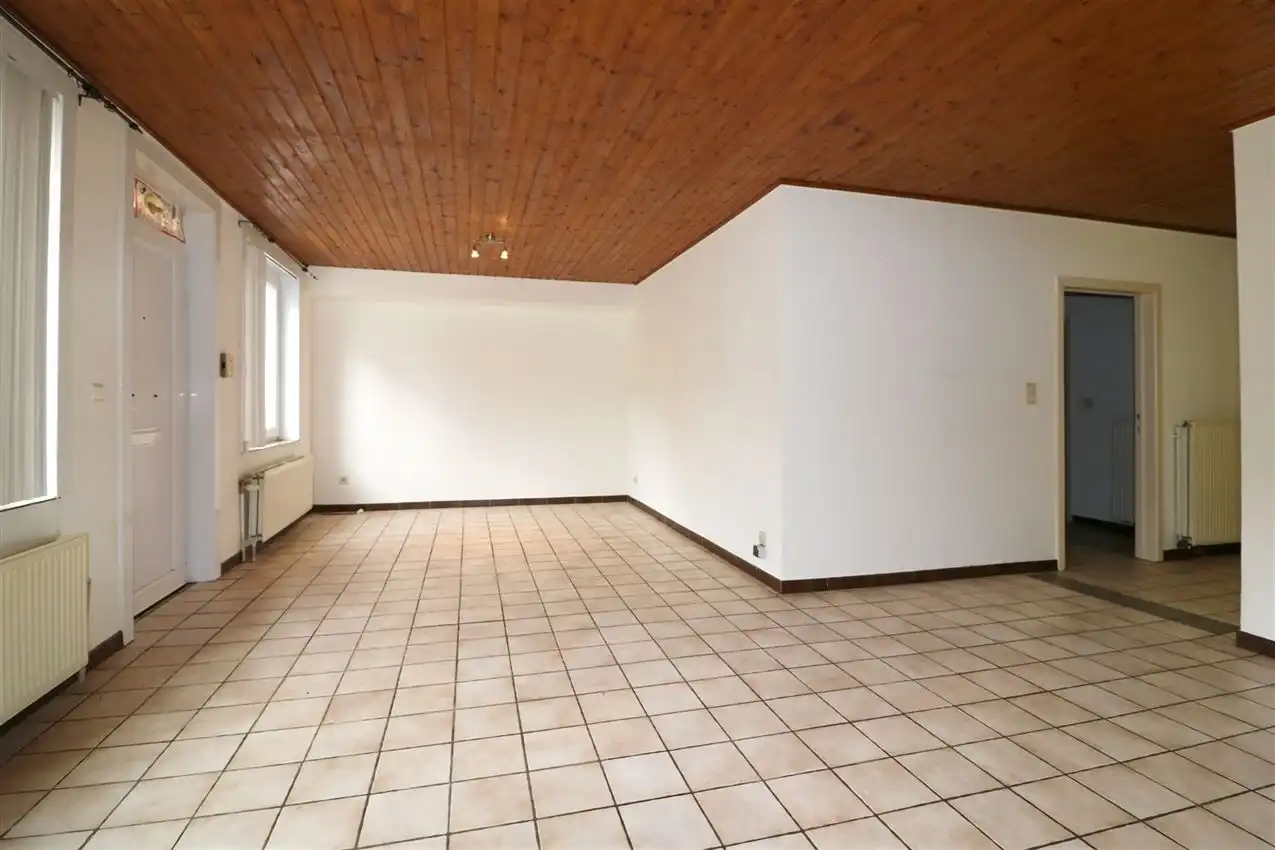 charmant, ruim, mogelijkheid beroep of kangoeroe foto 52