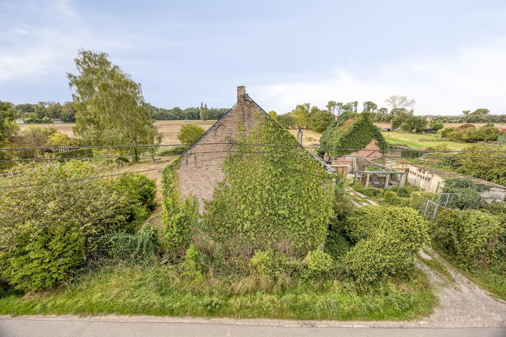 Volledig te renoveren hoeve foto 5