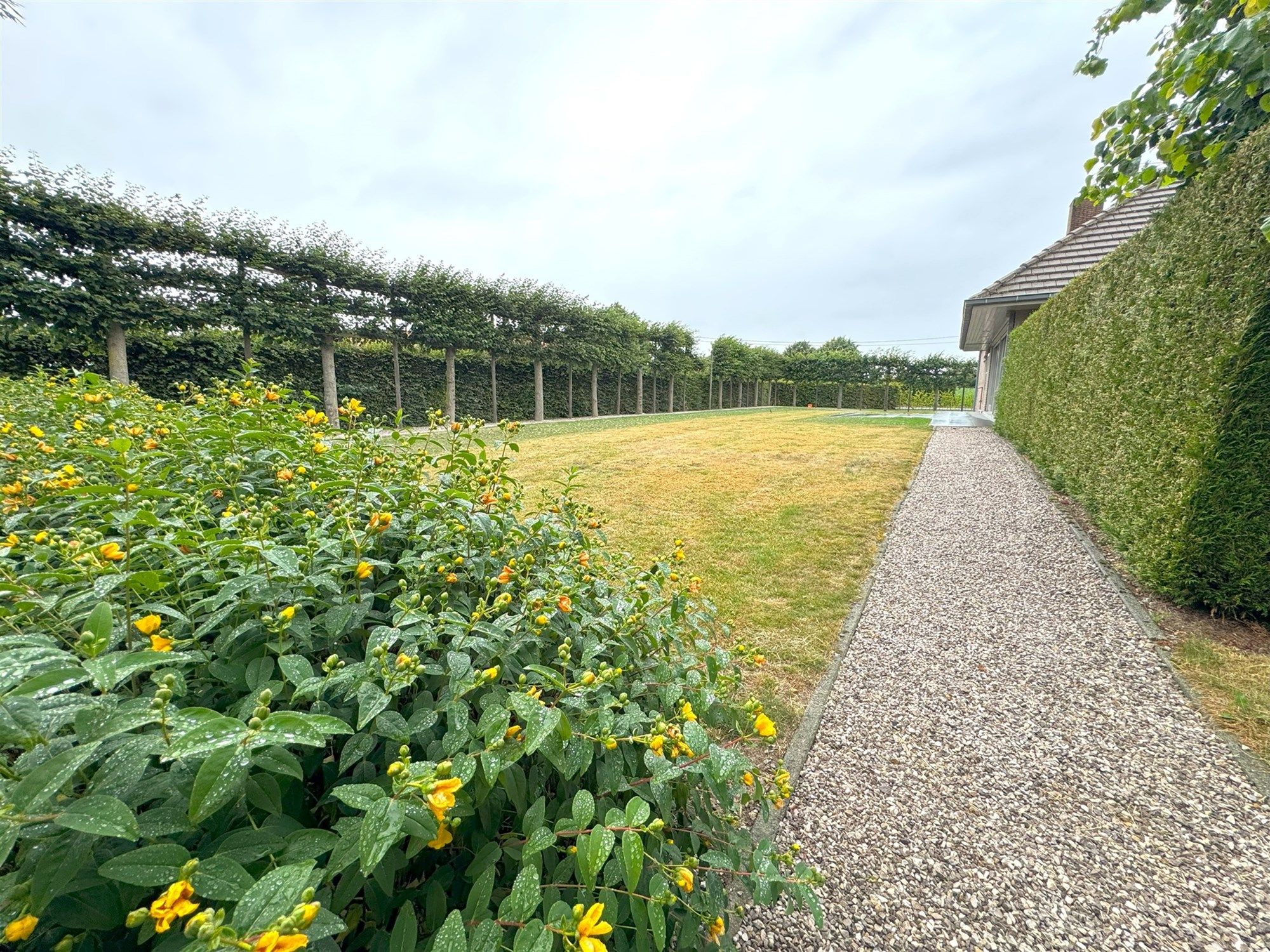 Huis foto 3