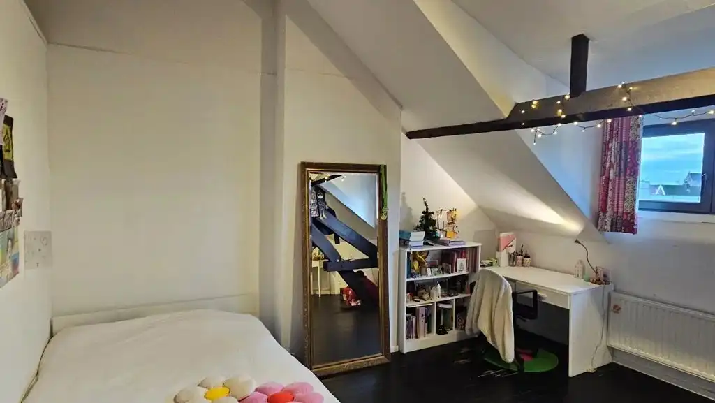 Huis te koop foto 44