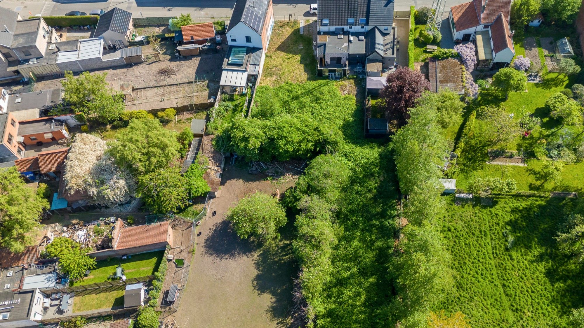 Bouwgrond of projectgrond op een zeer ruim perceel van 1096m² foto 6