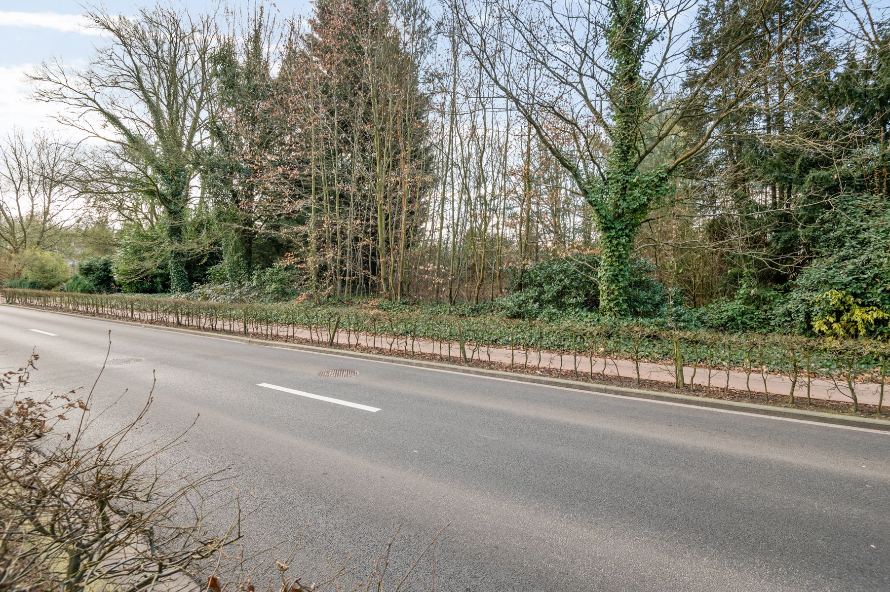 Bouw jouw droomvilla op 1.237m² in Europawijk Mol foto 3