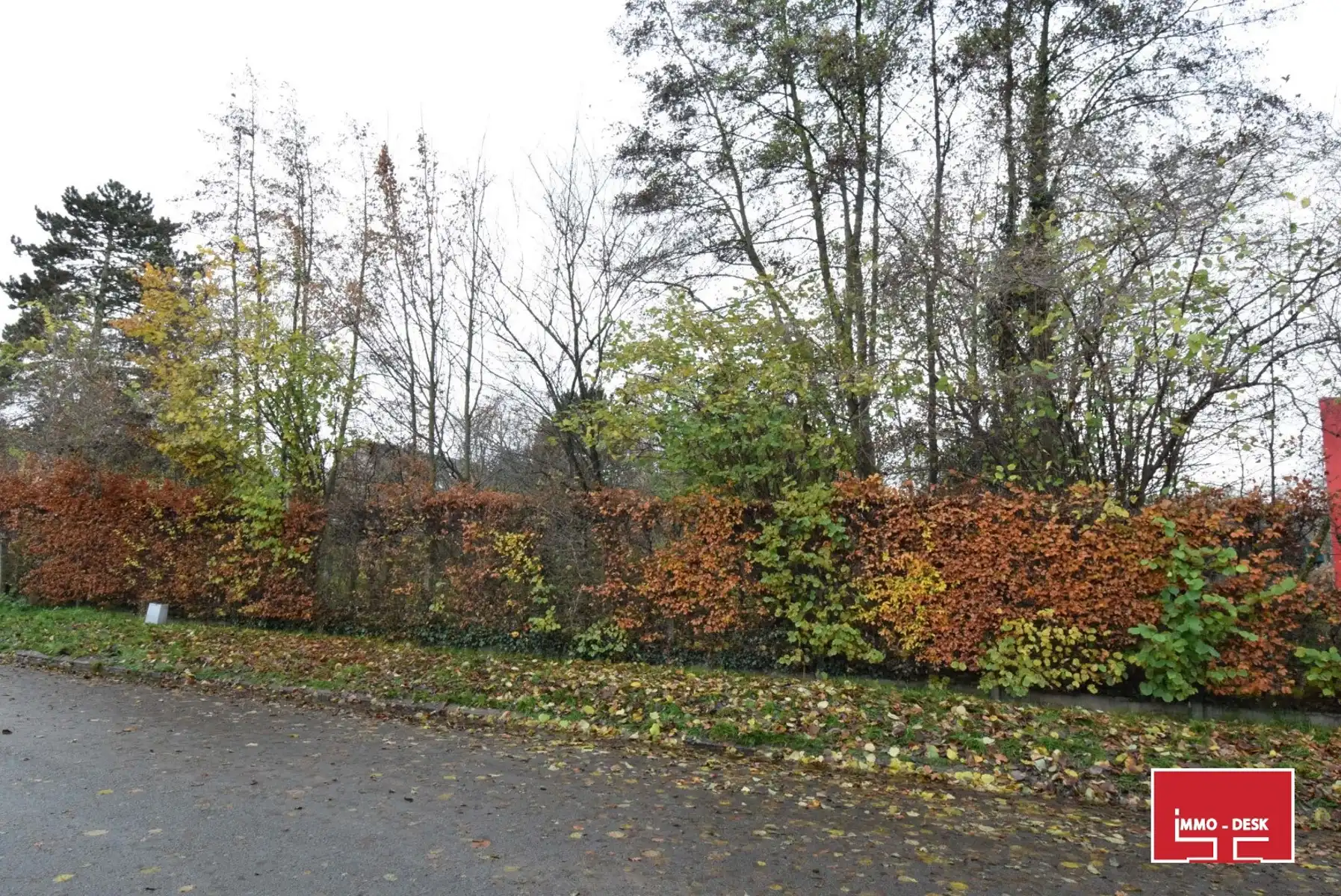 4 halfopen energiezuinige woningen in Denderleeuw foto 5