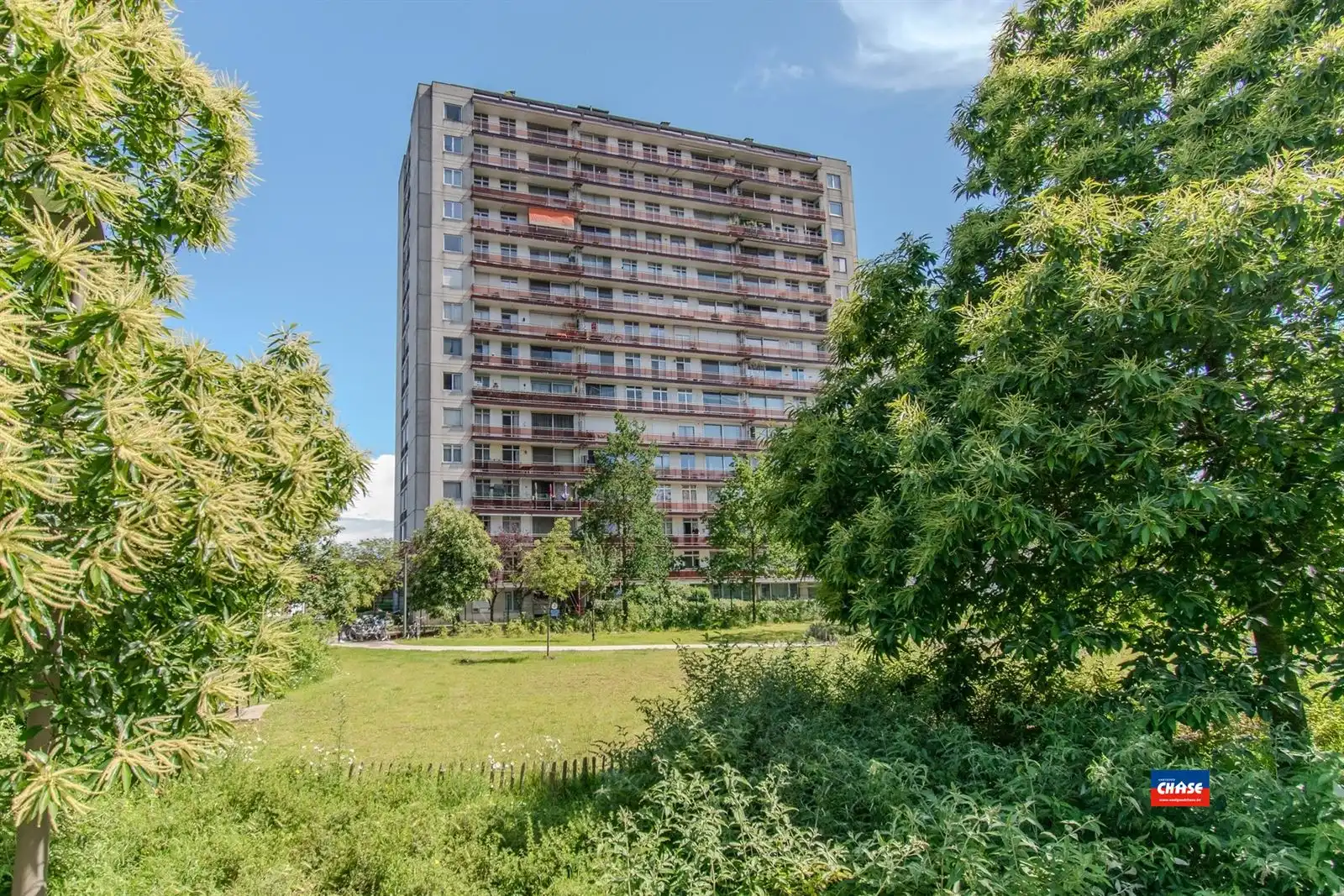Instapklaar appartement met 3 slaapkamers, groot terras en kelderberging foto 12