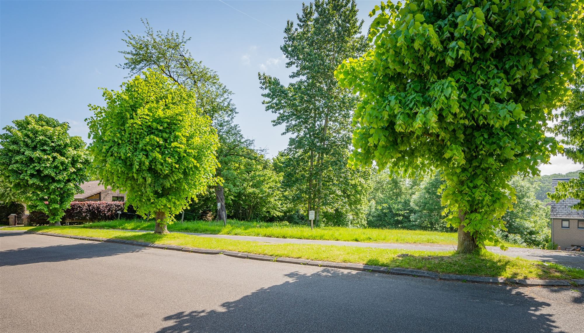 Mooie bouwgrond op 18 are 66 ca  foto 5