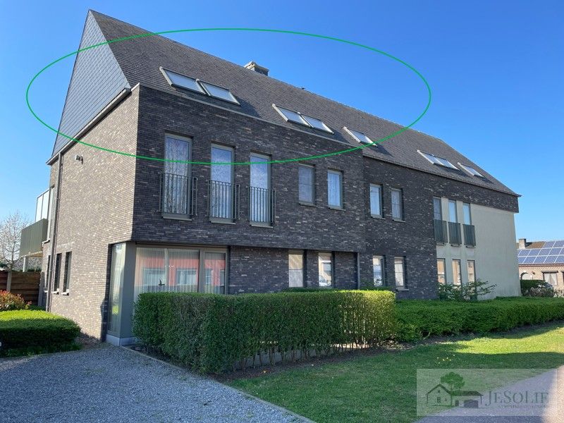 ()=>{if(producerUpdateValueVersion(node),producerAccessed(node),node.value===ERRORED)throw node.error;return node.value} Molsesteenweg 119/7 - 2490 Balen