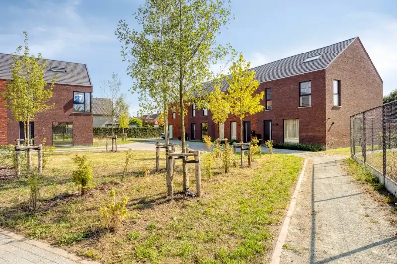 Melsele (Beveren), Bergmolenstraat foto 3