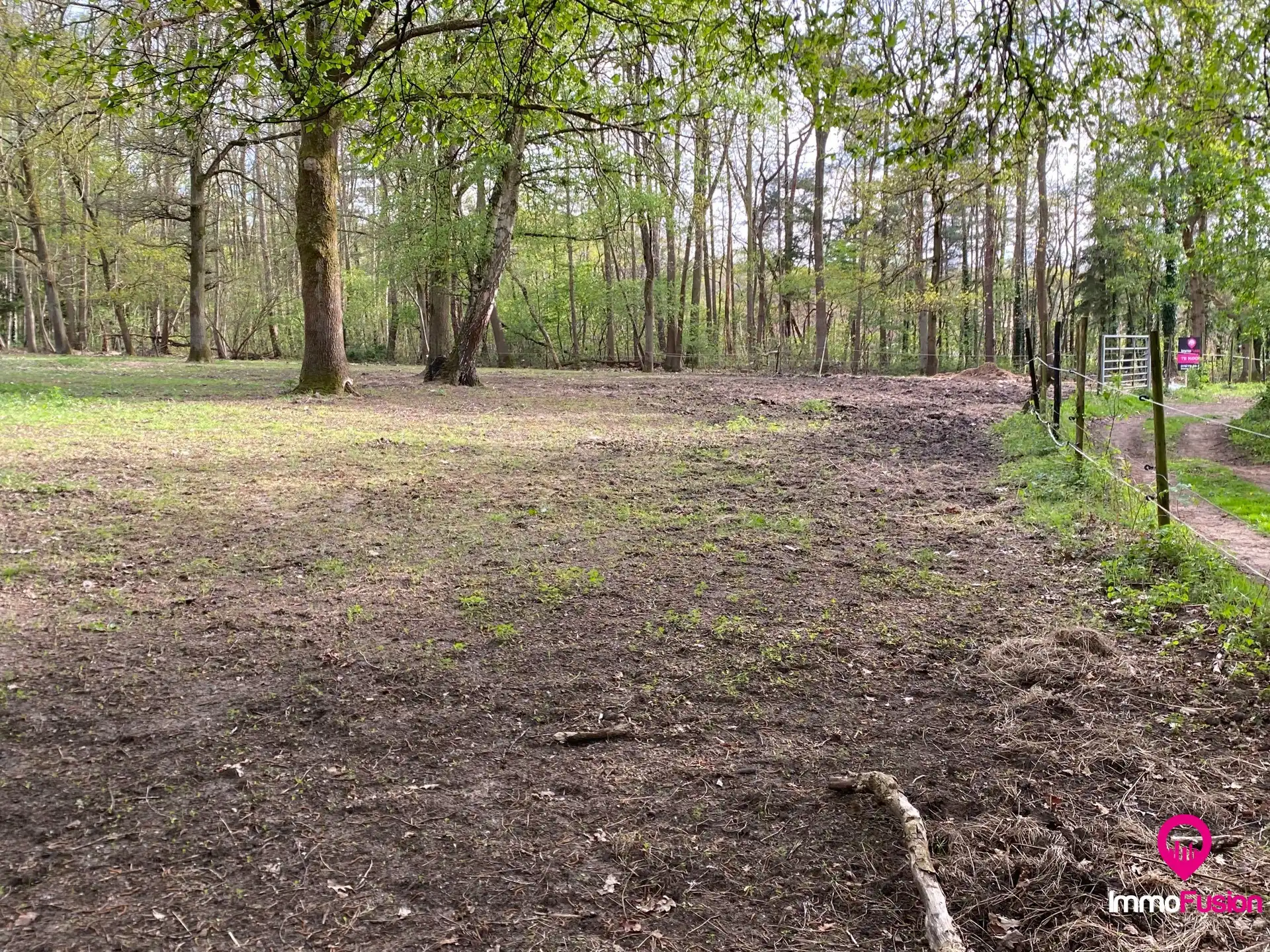 Ideale weide voor dierenliefhebbers in landelijke omgeving foto 5