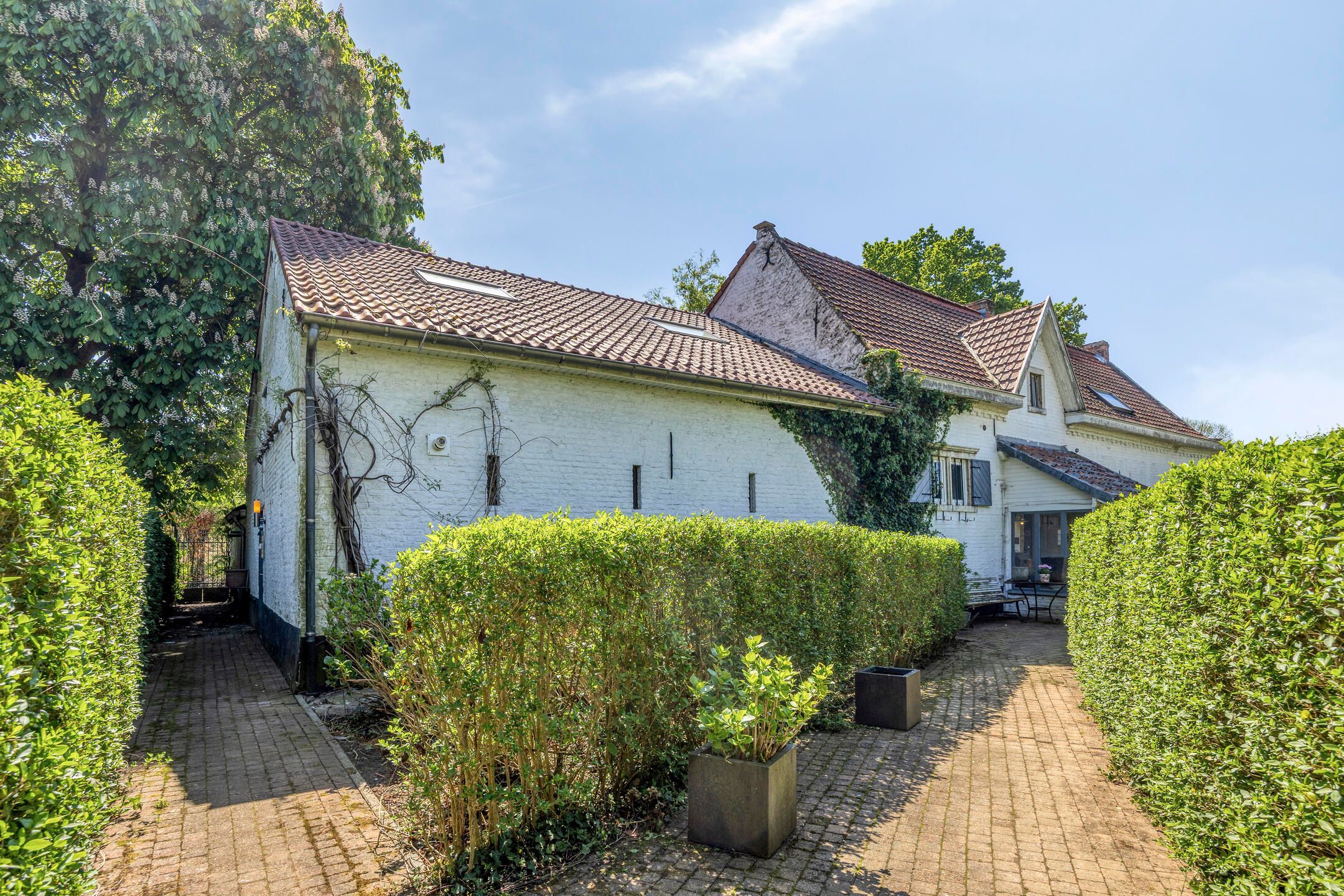 Huis Te Koop foto 20