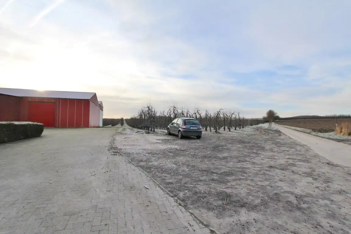 Ruime stockageruimte met frigoloodsen foto 26