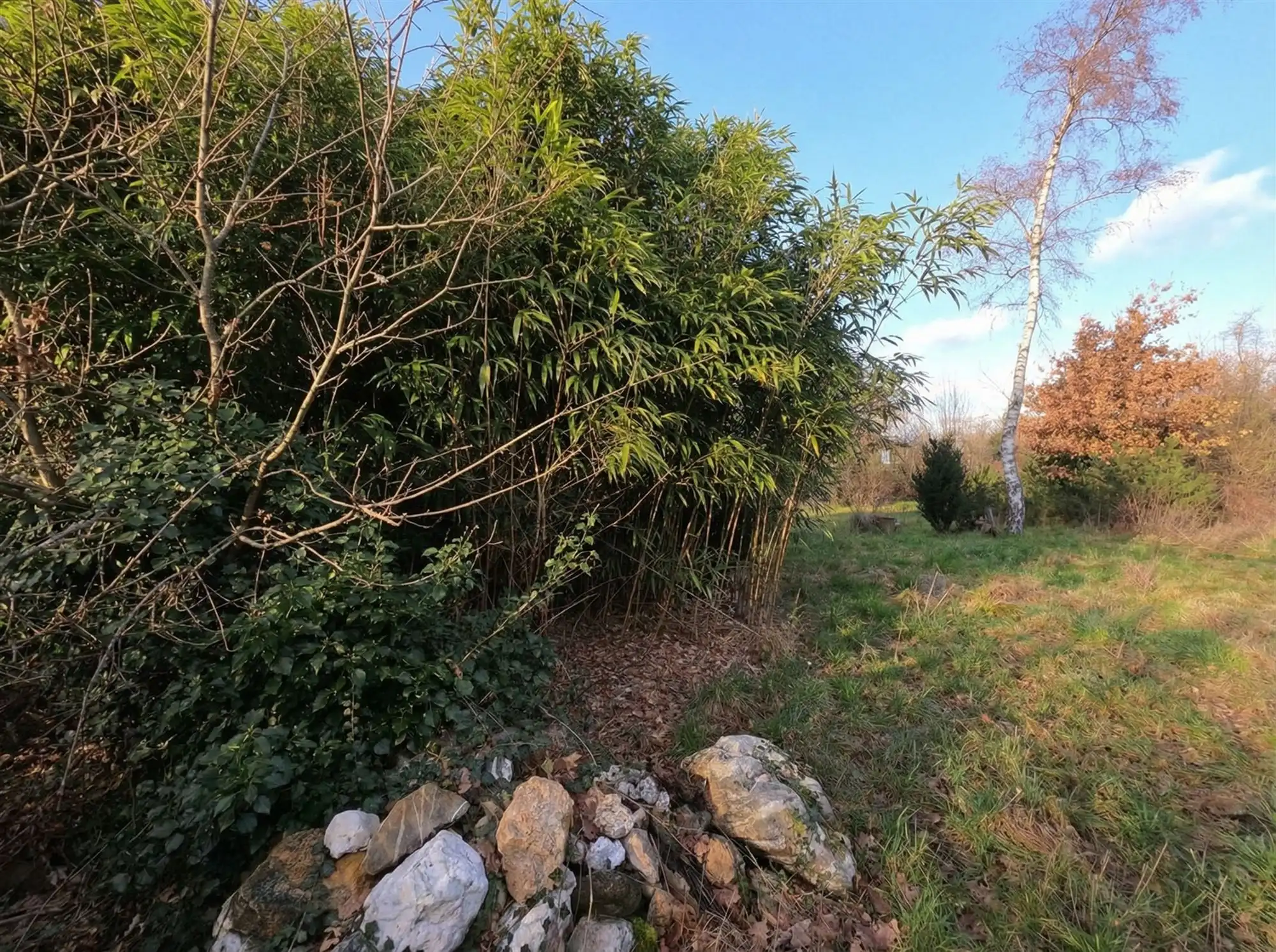 Top gelegen bouwperceel van 1000m²  foto 6