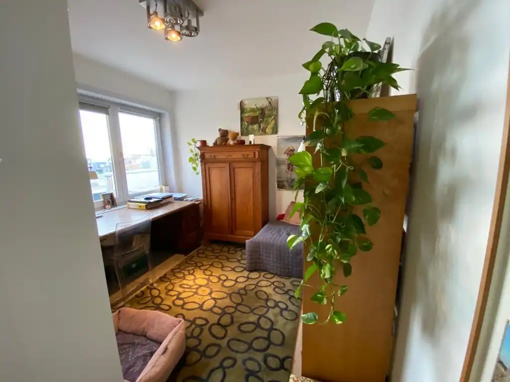 RESIDENTIE ORCHIDEE foto 13