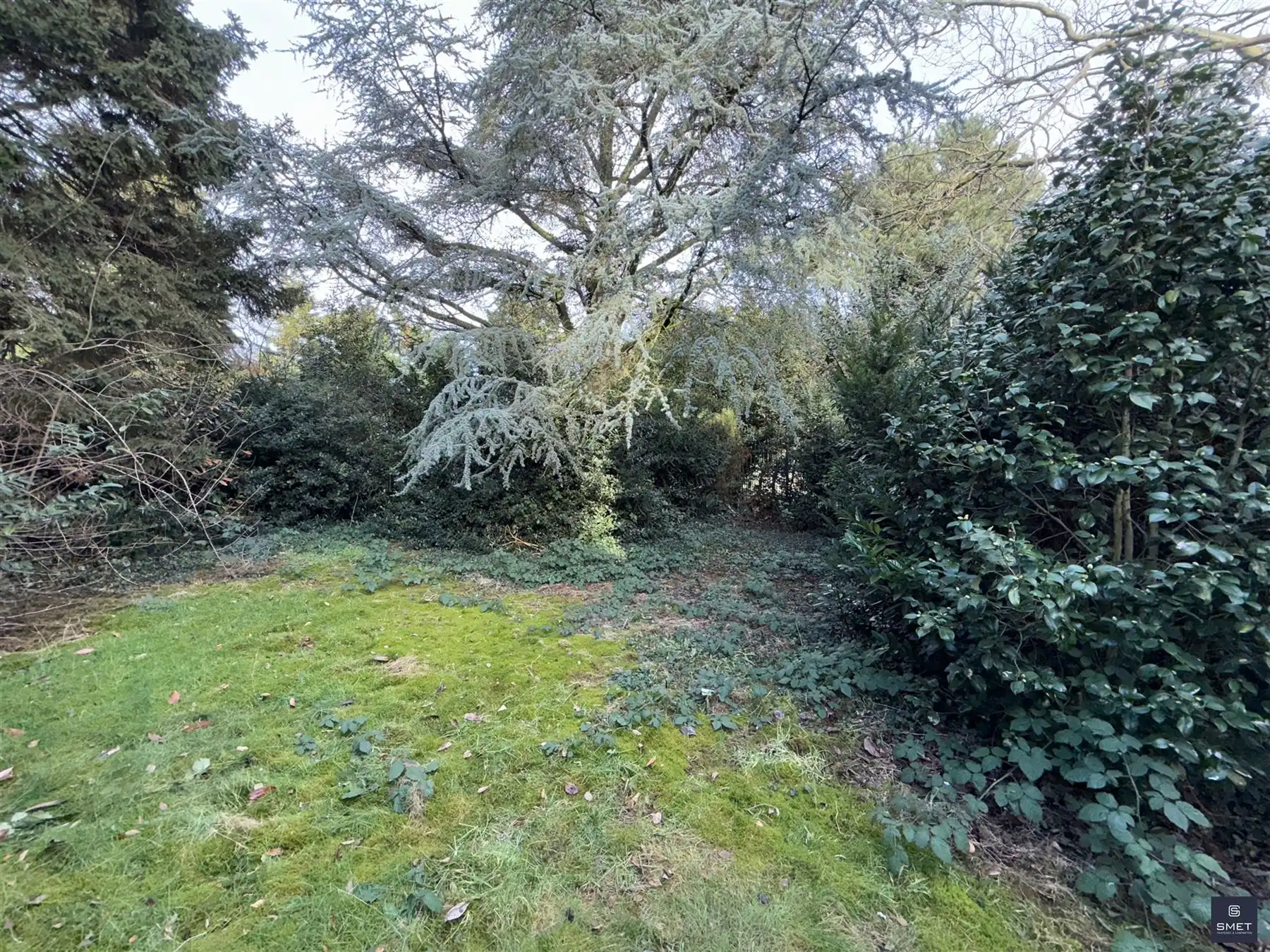 Karaktervolle voormalige dokterswoning  foto 23