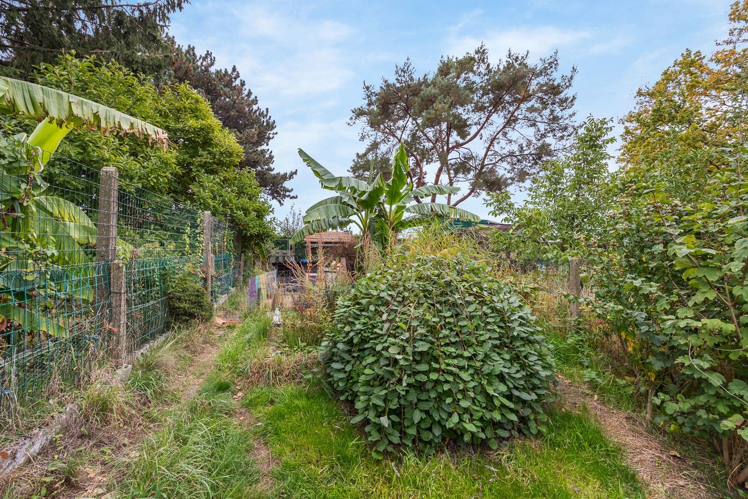 Gezellige ééngezinswoning met zuidgerichte tuin in Deurne foto 15