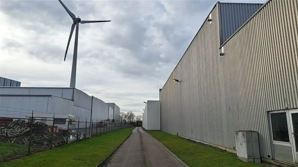 HOOGVELD 50A DENDERMONDE foto 6