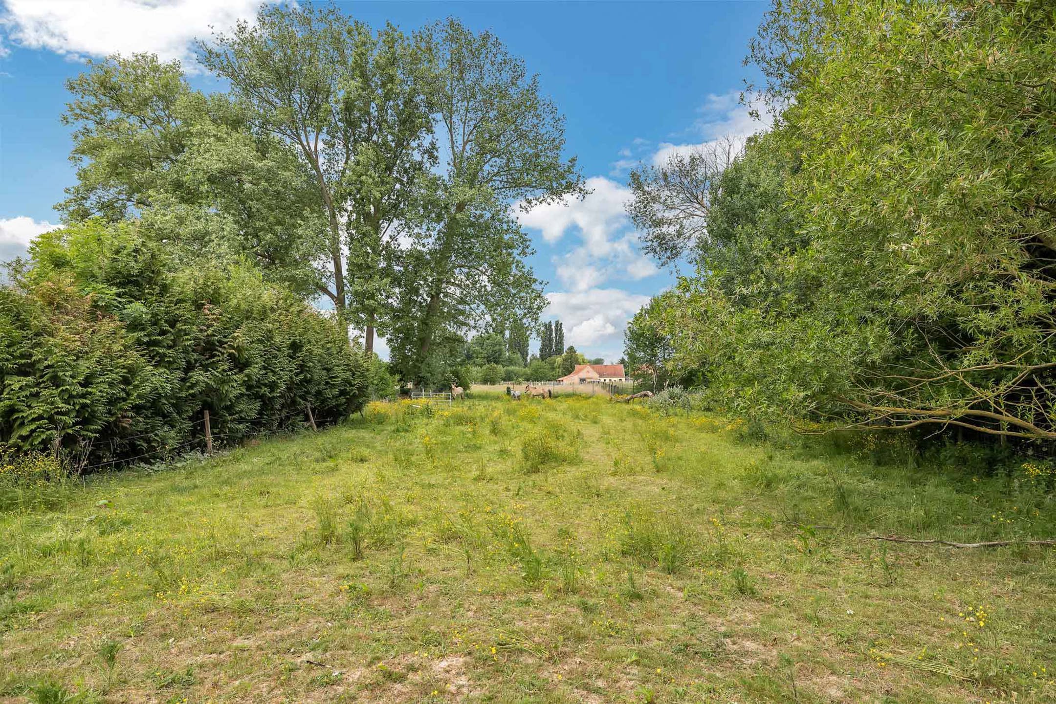 Te renoveren loods met bijhorende percelen  foto 13