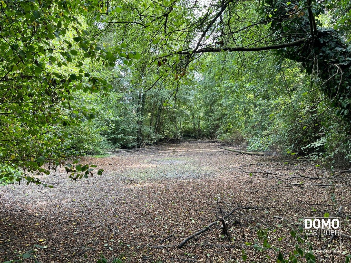 UNIEK DOMEIN MET OFF-GRID VAKANTIEWONING, SCHUUR EN 2 VIJVERS OP 1 HA 41 A foto 28