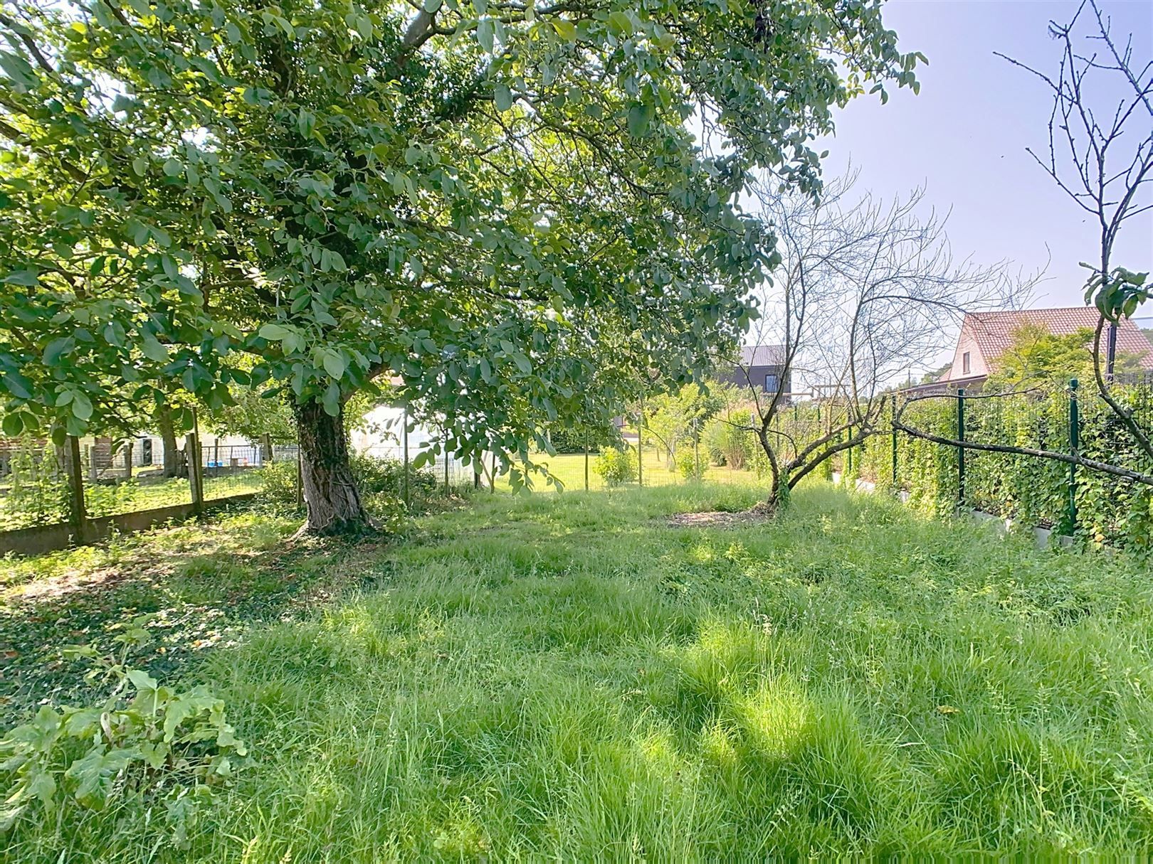 Ruime woning, 3 slpks (+ inrichtb zolder), tuin, 9a 53ca  foto 37