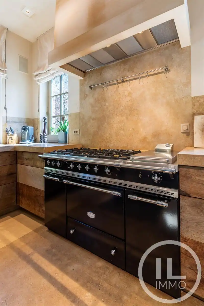 Schitterend domein van 7,7 ha met prachtige villa, zwembad, guesthouse, ruime schuur en uitgebreide paardenfaciliteiten. foto 13