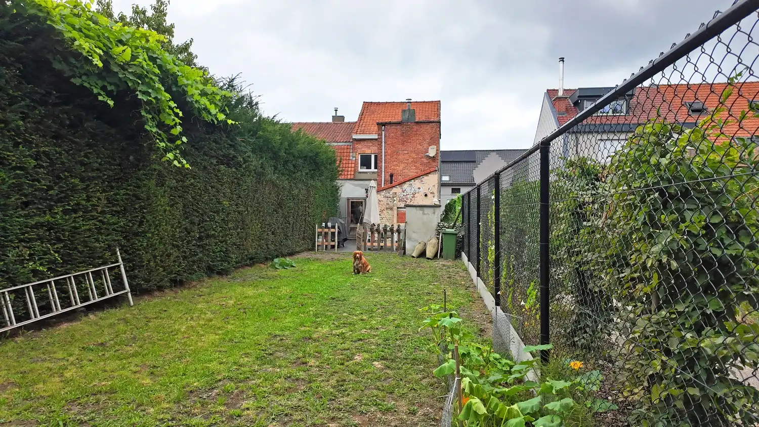 Interessante opbrengsteigendom met tuin in de Opeisingstraat foto 12