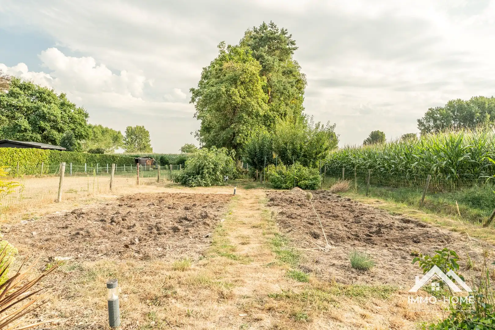 Vrijstaande woning in landelijke omgeving met veel potentieel!  foto 24
