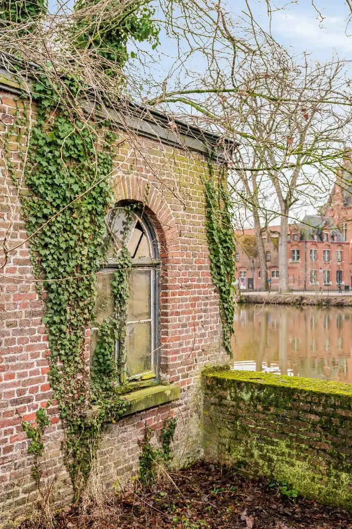 Unieke en idyllische hoekwoning nabij Minnewaterpark en historisch Brugge foto 24