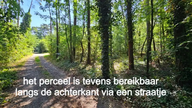 Bouwgrond voor open bebouwing met aanpalend bos - 45 are foto 7