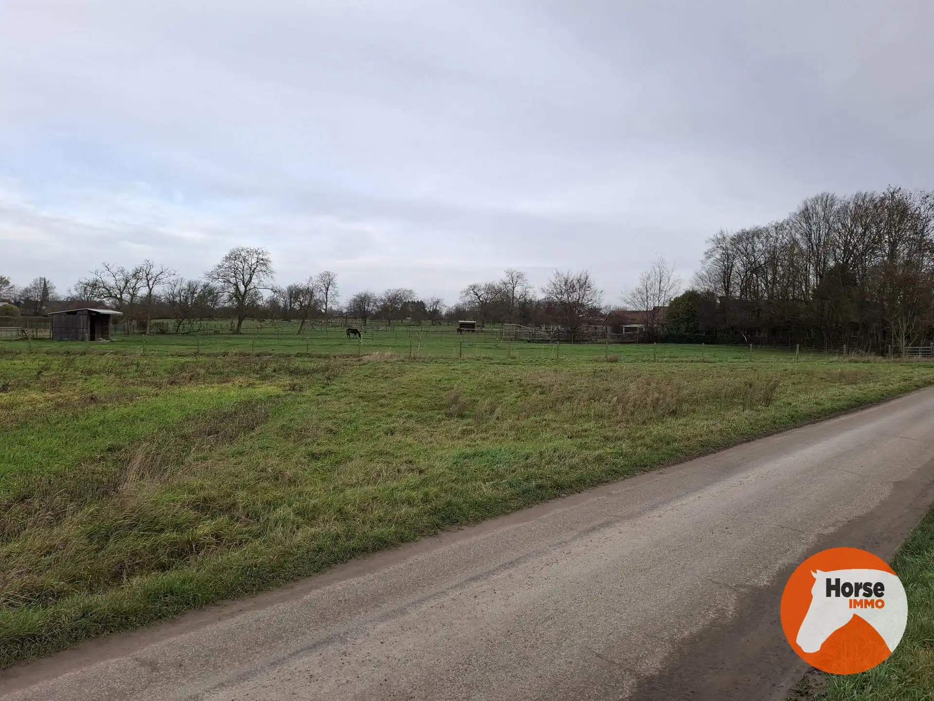 HAALTERT - Weide van +- 55a  foto 2