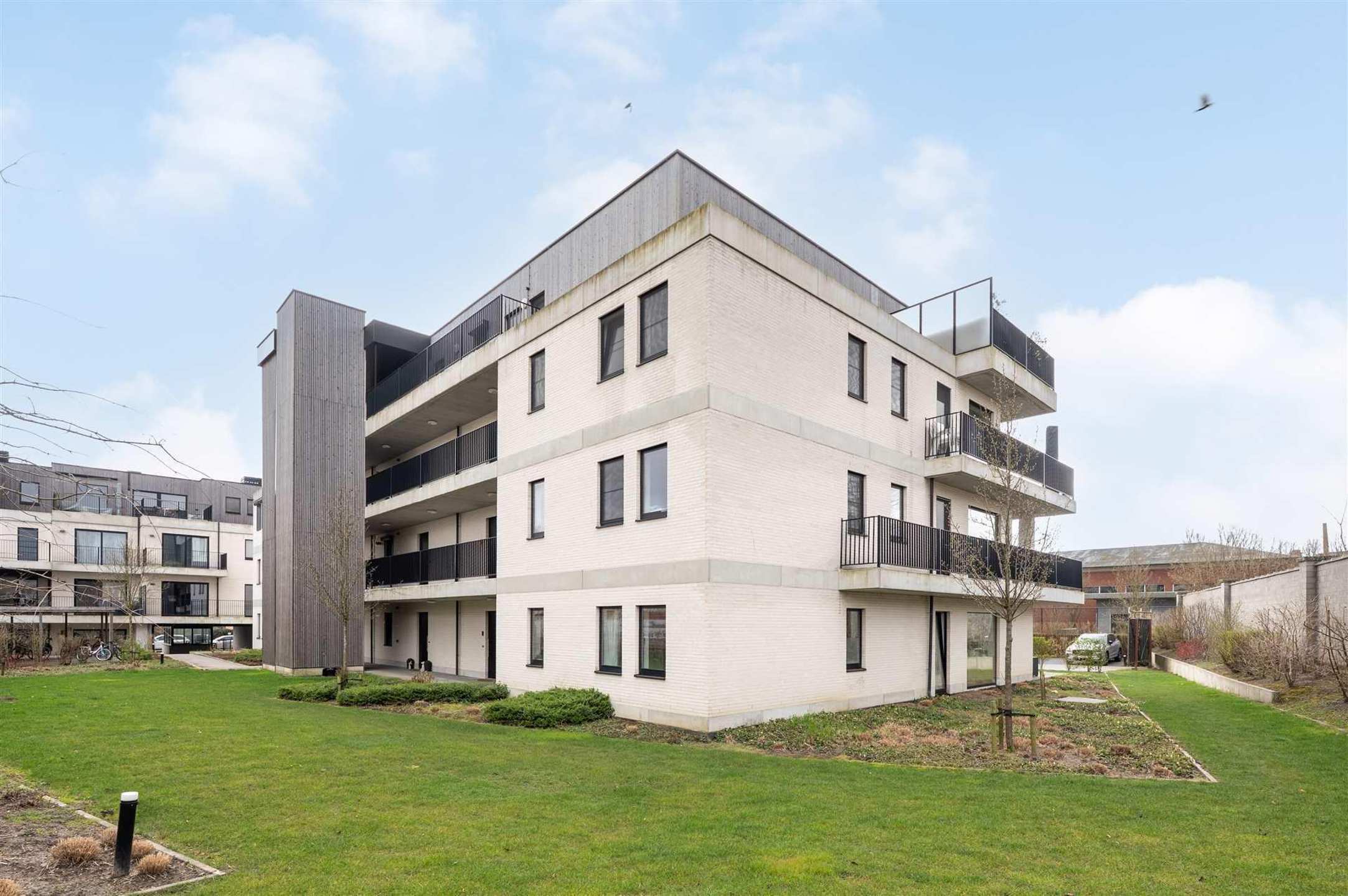 Ruim & modern appartement met groot terras in Steendorp foto 9