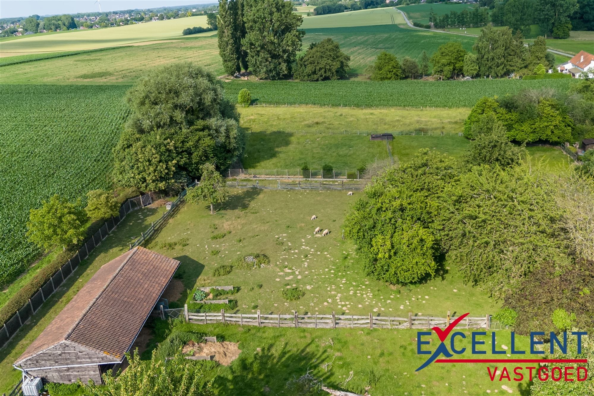 Karaktervolle villa met weides en stallen te koop foto 23