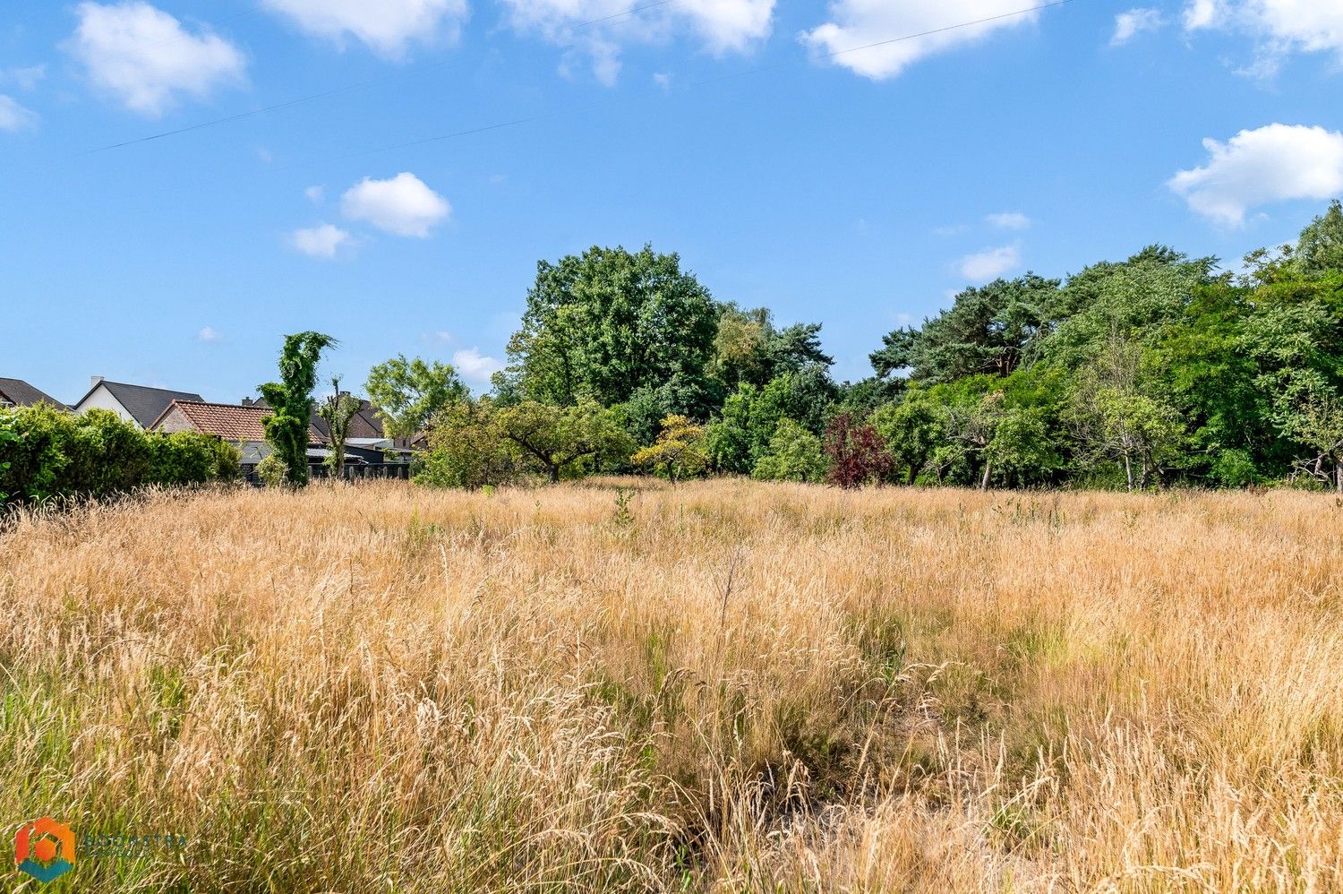 Bouwgrond van 1070 m² voor open bebouwing te Tessenderlo-Ham foto 4