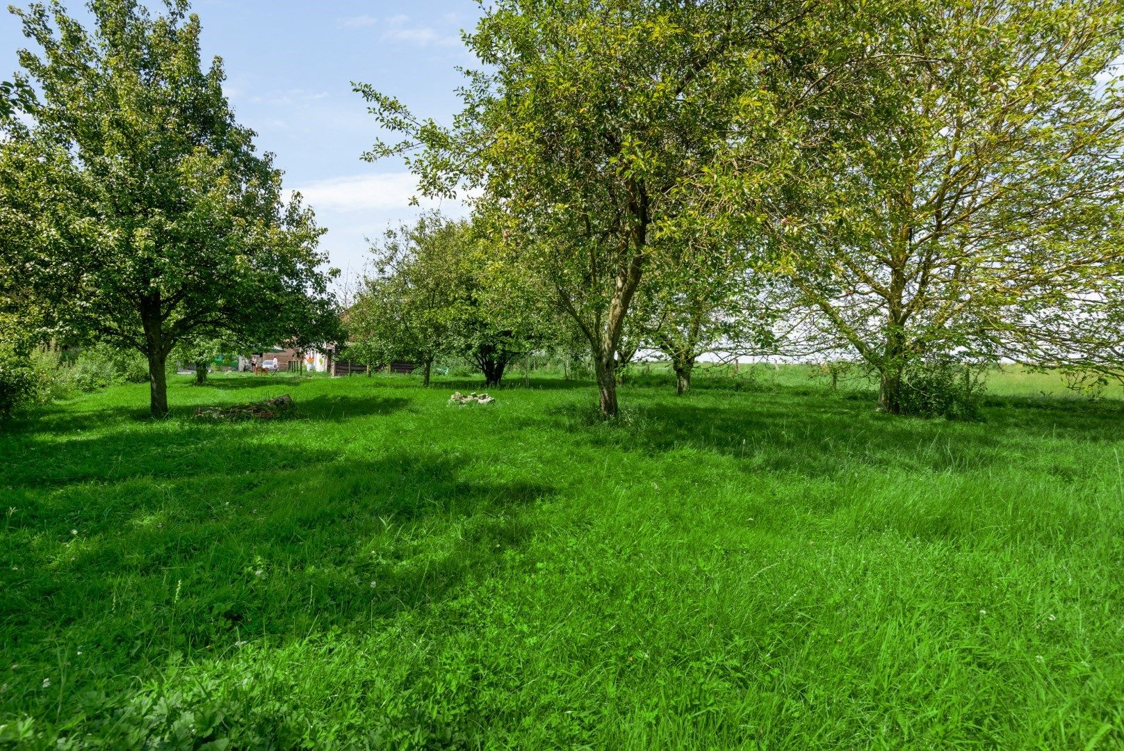 Idyllische hoeve in Mollem met paardenfaciliteiten foto 5