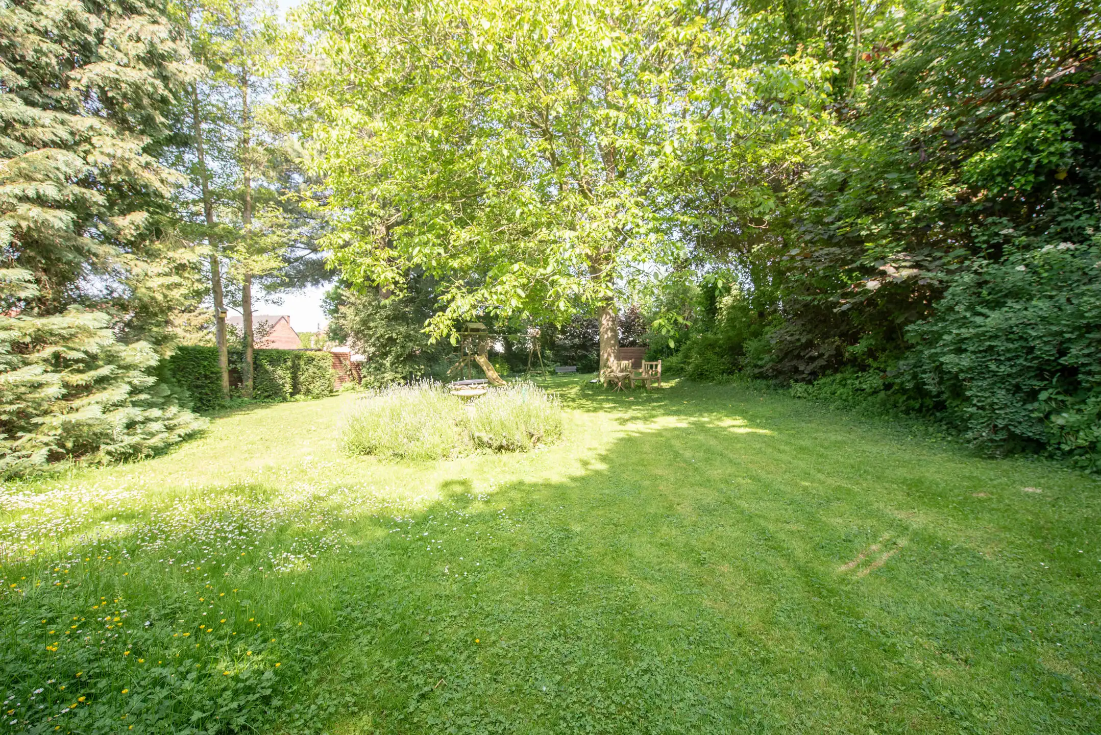 Authentieke hoevewoning op 13a39ca te Zussen foto 11