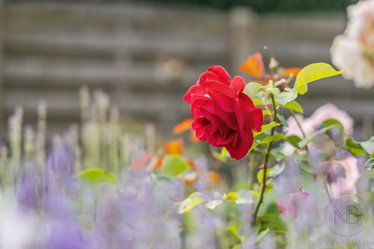 Woning op een unieke locatie in Bokrijk foto 22