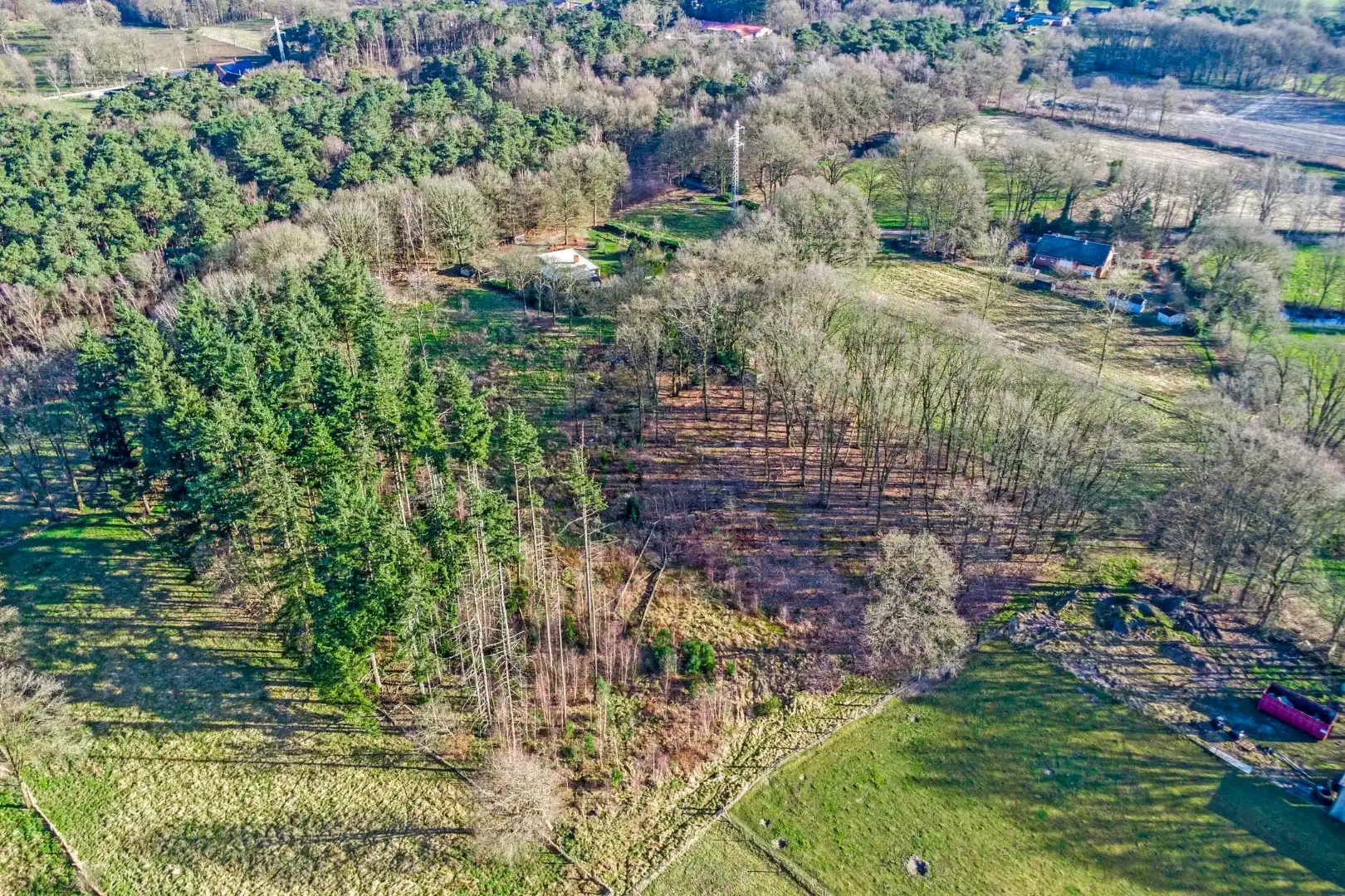 Unieke woonst op 13 hectare: rust, natuur en eindeloze mogelijkheden! foto 19
