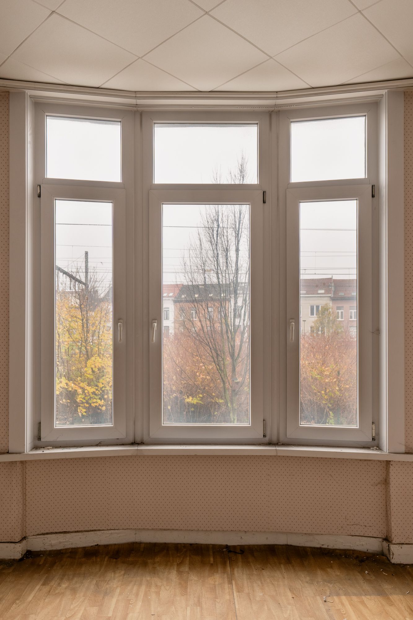 Wrapped in wallpaper: te renoveren of nieuw te bouwen woning in Damtwerpen foto 9