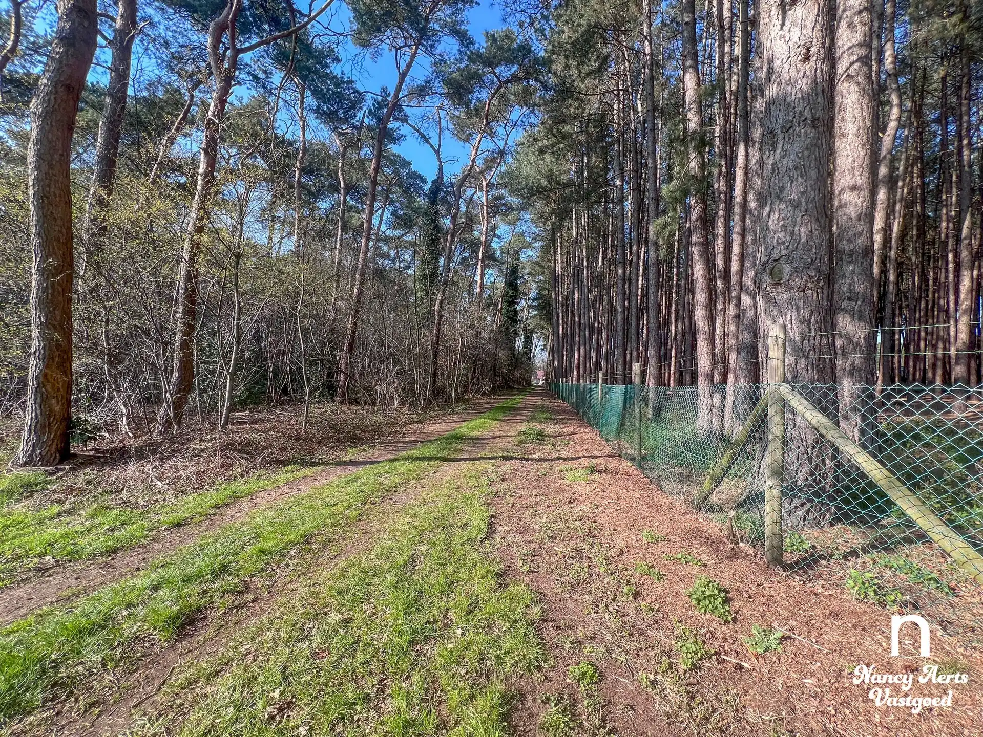 Ruime, luxueuze villa met overdekt zwembad en 1,8 ha natuur foto 65