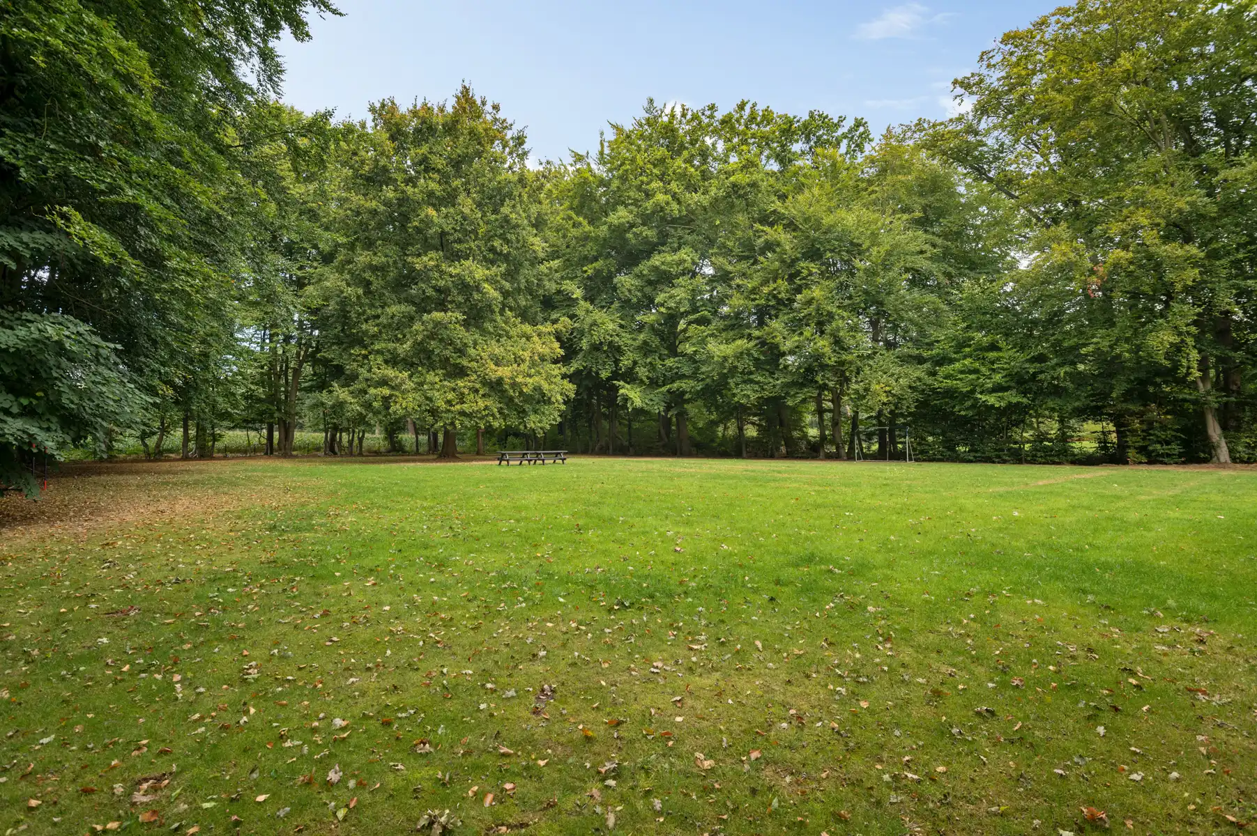 Pastoriewoning in parktuin op ca. 8400 m2 - uniek uitzicht  foto 4