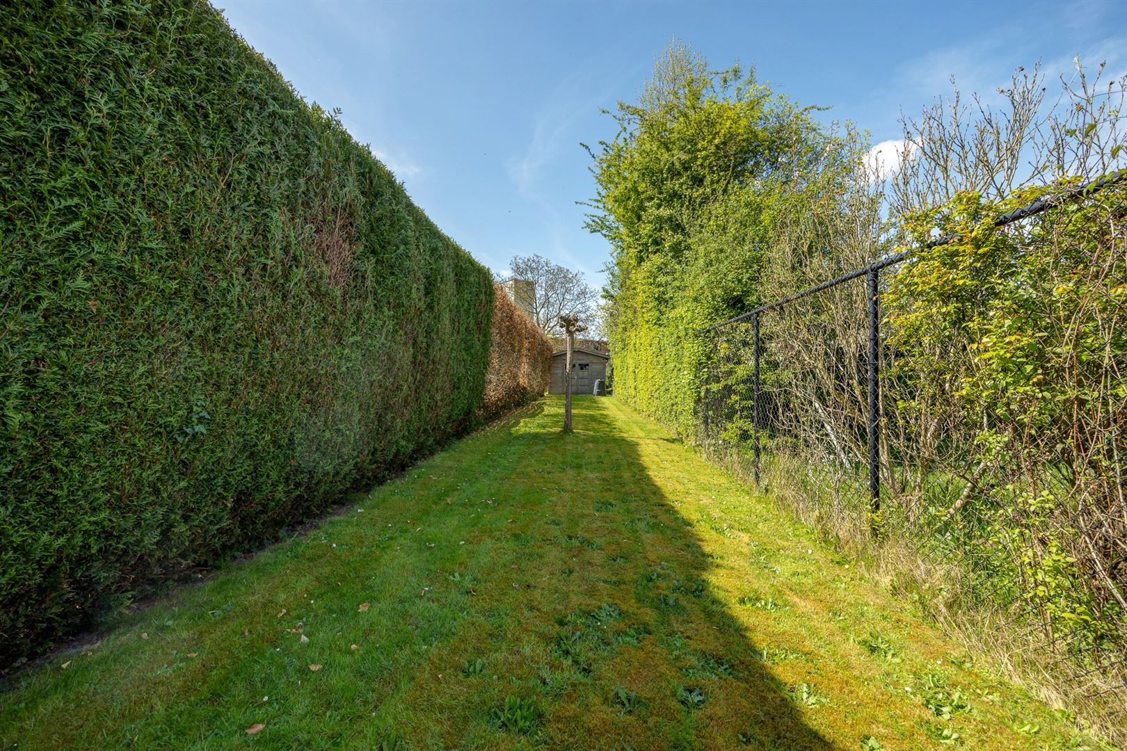 Goed onderhouden ruime stadswoning met grote tuin foto 20