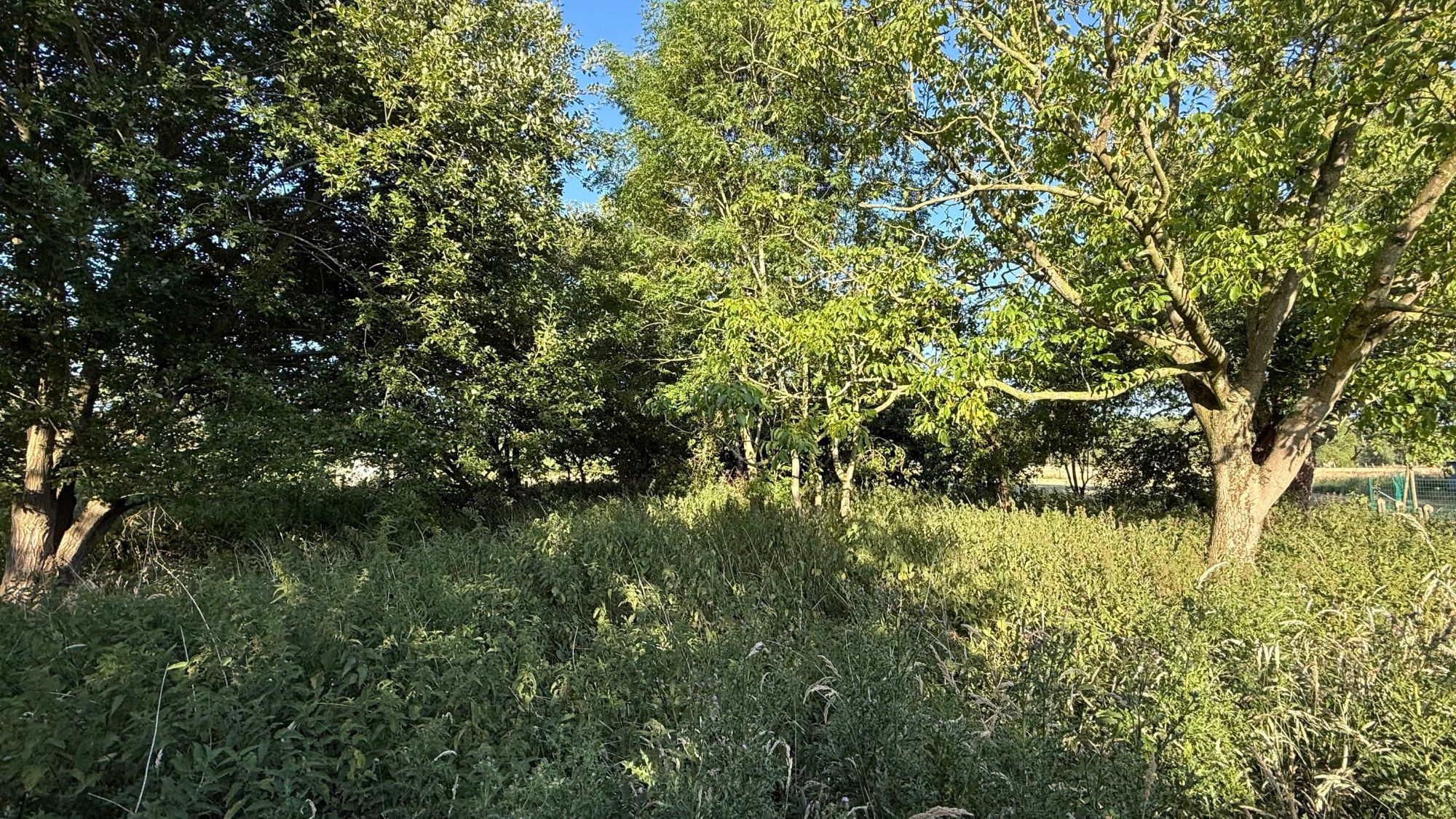 GOED GELEGEN WONING met LANDELIJK UITZICHT op 1789 M² foto 10
