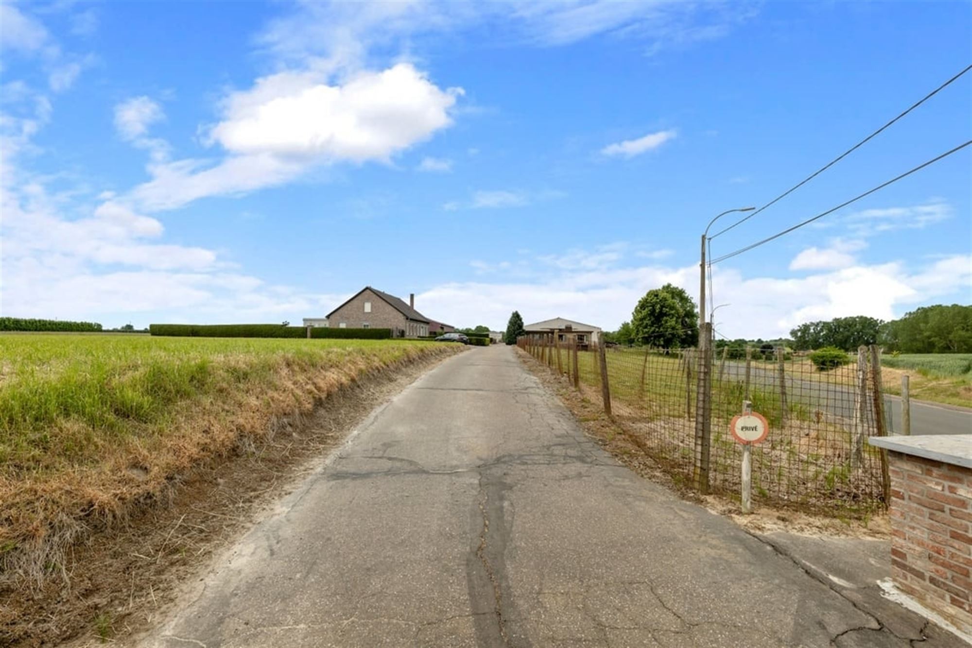 RUIME GEZINSWONING MET LOODS EN WEIDE OP 1,1 HECTARE IN HET LANDELIJKE SINT-TRUIDEN foto 59