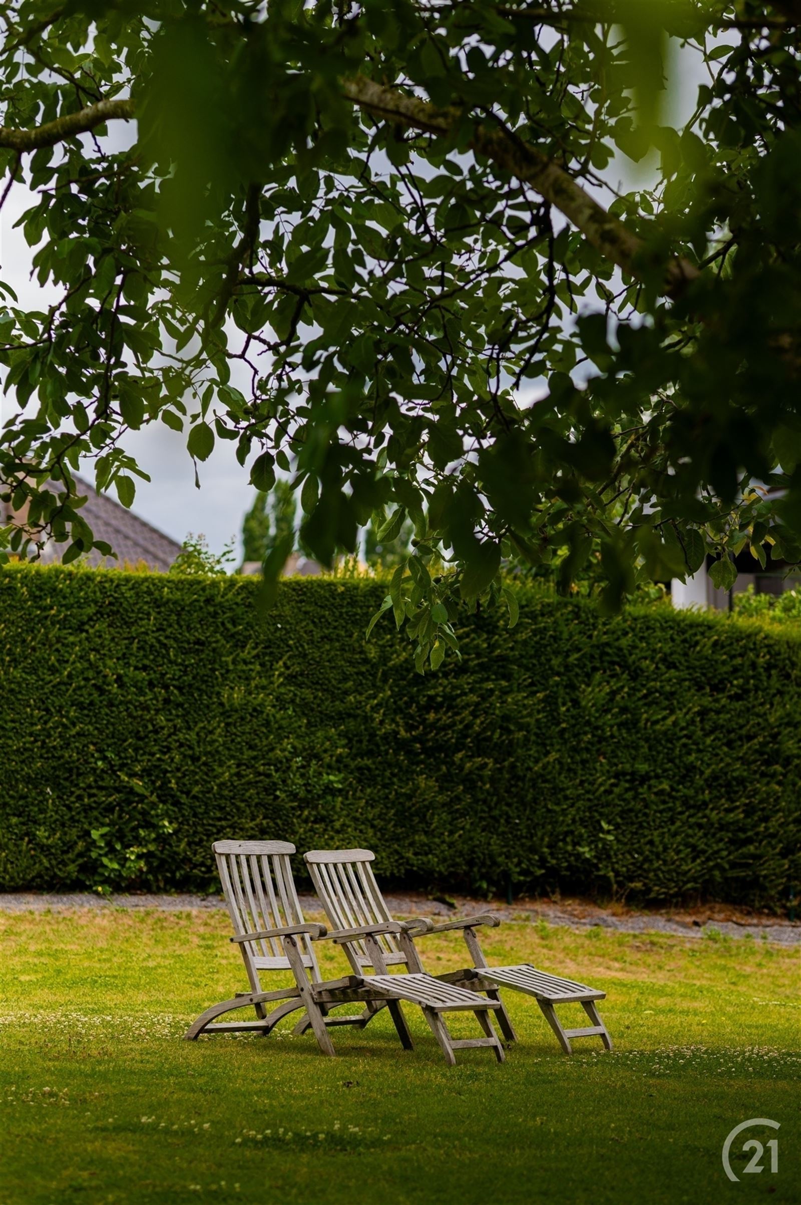 Exclusieve, energiezuinige villa op mooi perceel van 8a14 foto 4