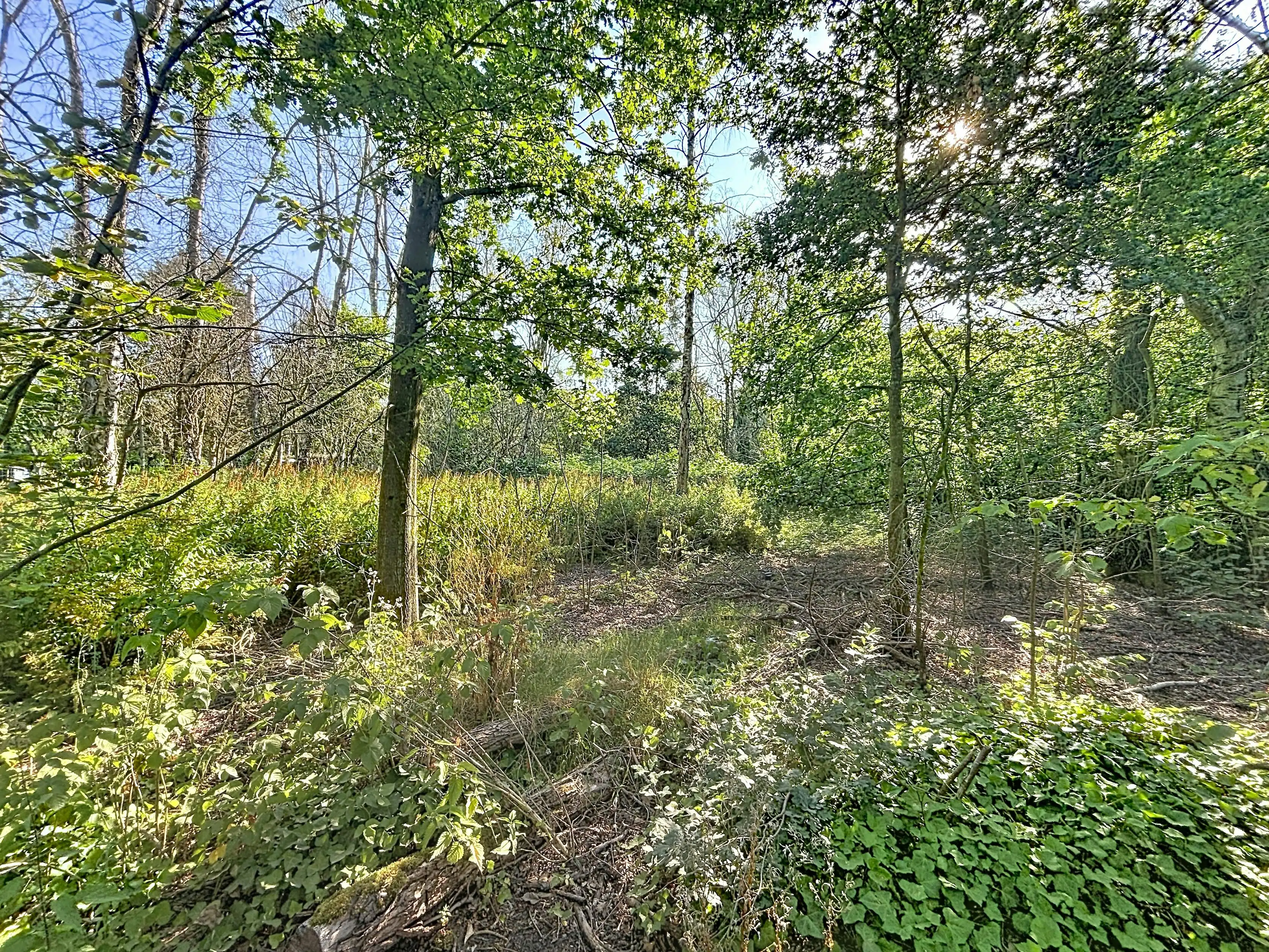 Rustig gelegen grond (ca. 1.010 m²) te koop in Wuustwezel foto {{pictureIndex}}