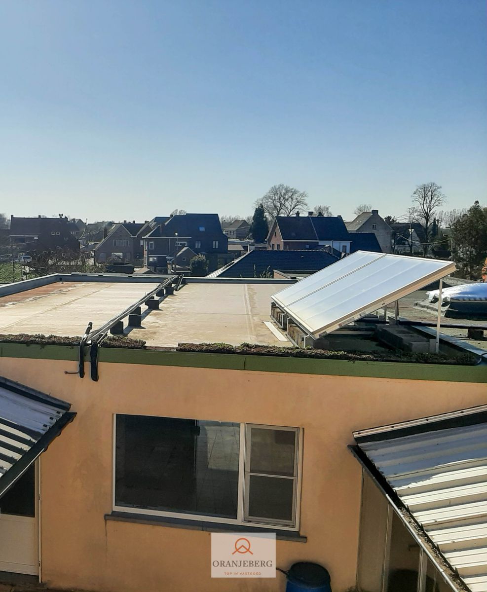 Ideaal te renoveren rijwoning + werkplaats + garage + tuin voor 591m² foto 12