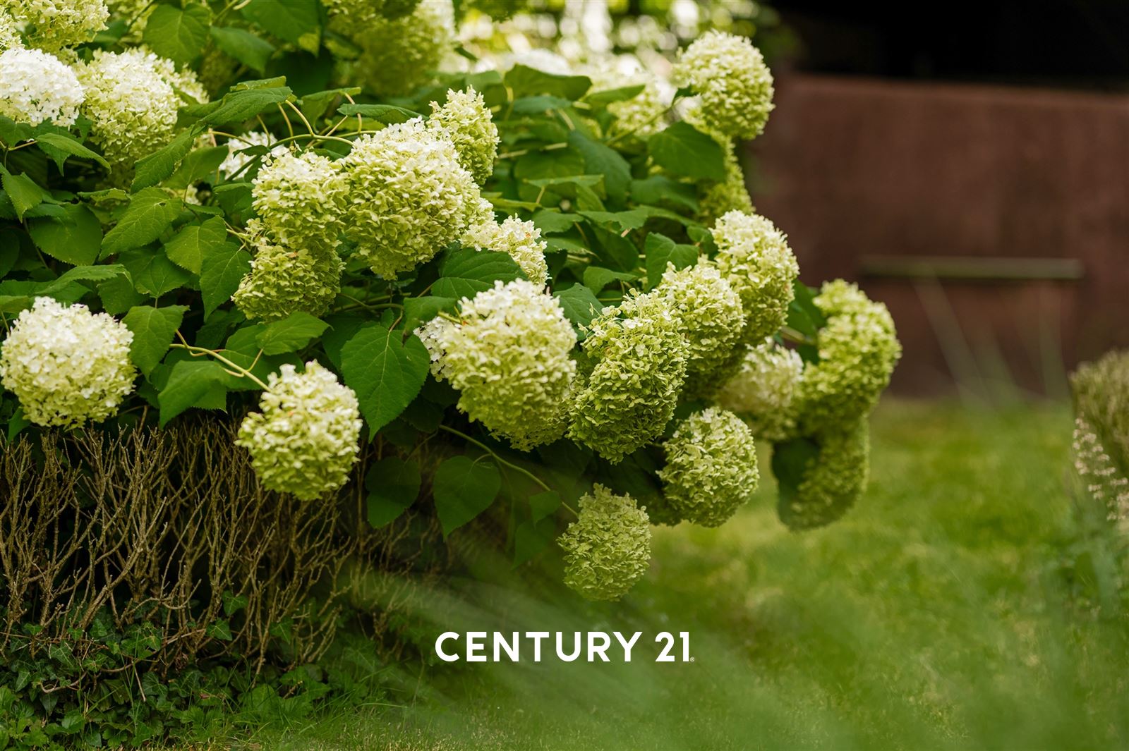 instapklare villa met zuidwest gerichte tuin en garage op 8are11 foto 5