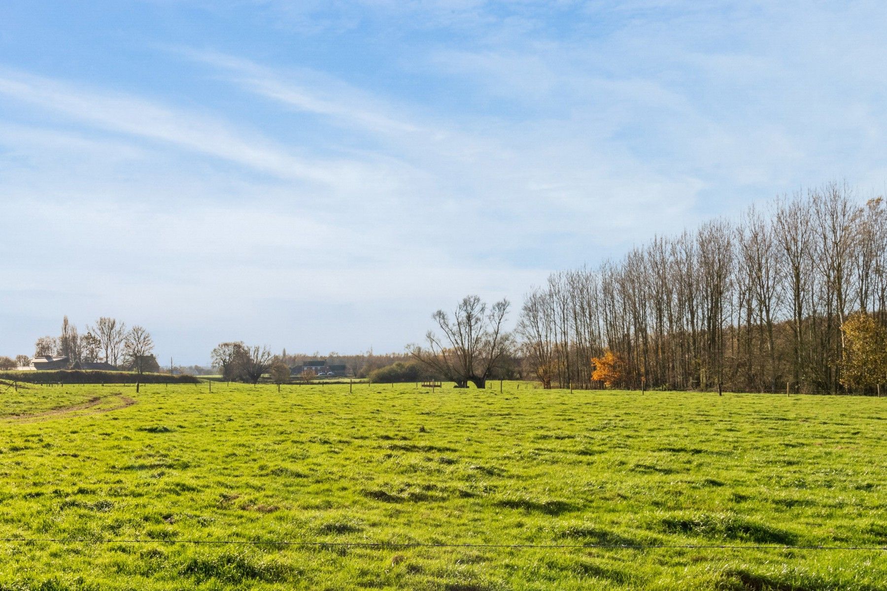 Parel op de Tiegemberg: grond voor alleenstaande nieuwbouw! foto 2