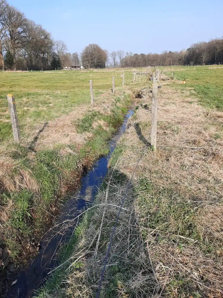 Mooie omheinde weide met schuilstallen te Helchteren foto 3